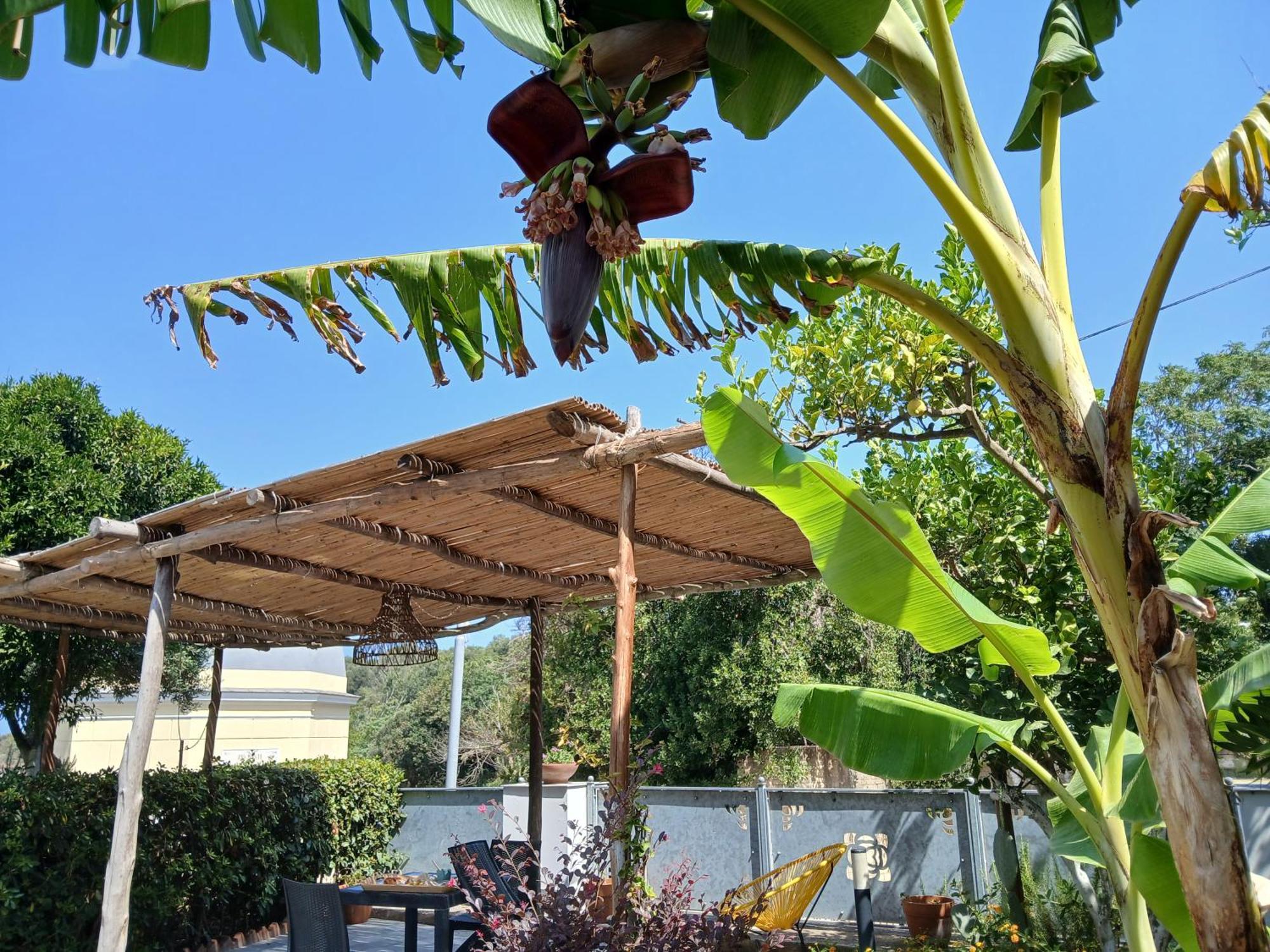 Sonnino B&B Procida Phòng bức ảnh