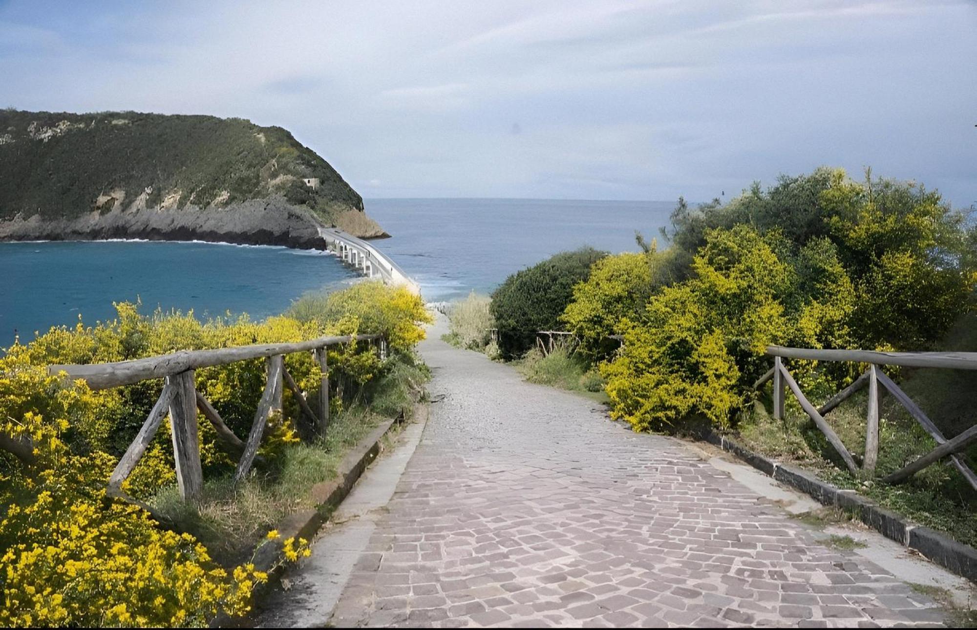 Sonnino B&B Procida Ngoại thất bức ảnh